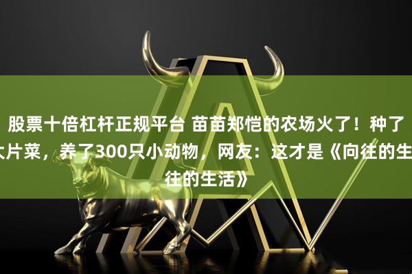 股票十倍杠杆正规平台 苗苗郑恺的农场火了！种了一大片菜，养了300只小动物，网友：这才是《向往的生活》