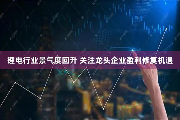 锂电行业景气度回升 关注龙头企业盈利修复机遇