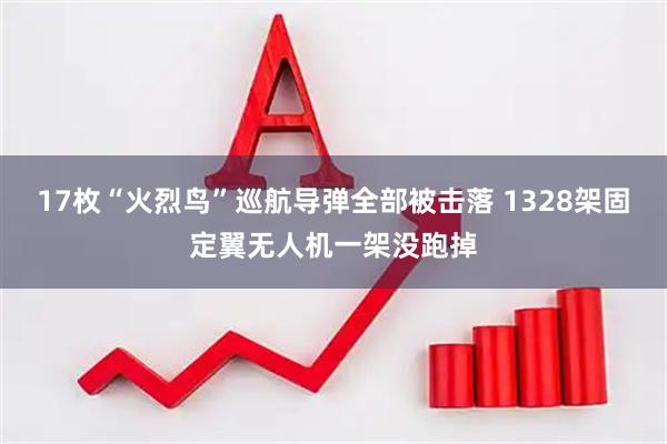 17枚“火烈鸟”巡航导弹全部被击落 1328架固定翼无人机一架没跑掉