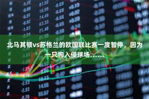 北马其顿vs苏格兰的欧国联比赛一度暂停，因为一只狗入侵球场……